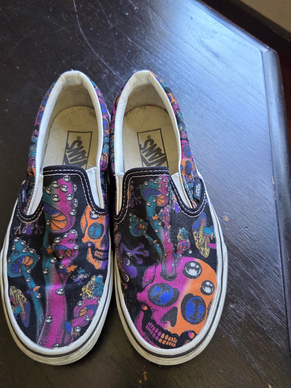 Vans Slip-On Shoes in Multi-Color Skull Print